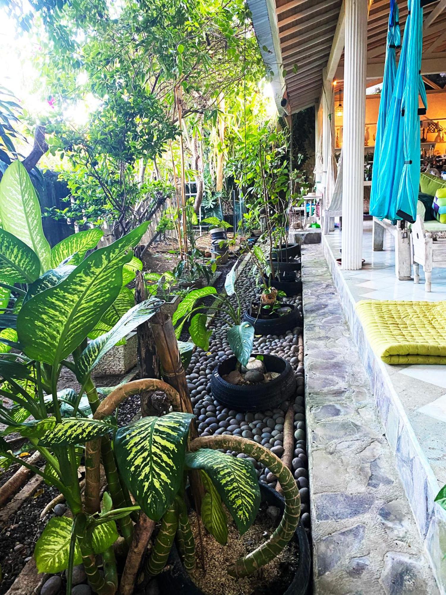 Shady Grove Healing Centre & Homestay W House Rules Please Read Before Booking Sanur  Exterior photo